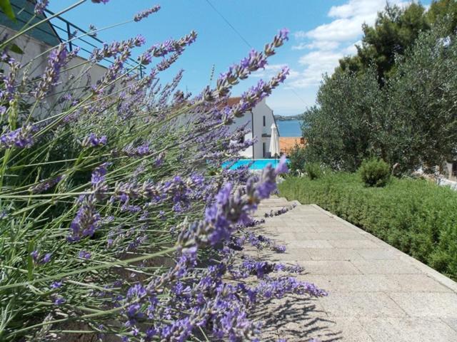 Apartments Villa Goja Трогир Номер фото